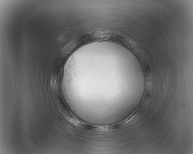 X0000051250623200507082152