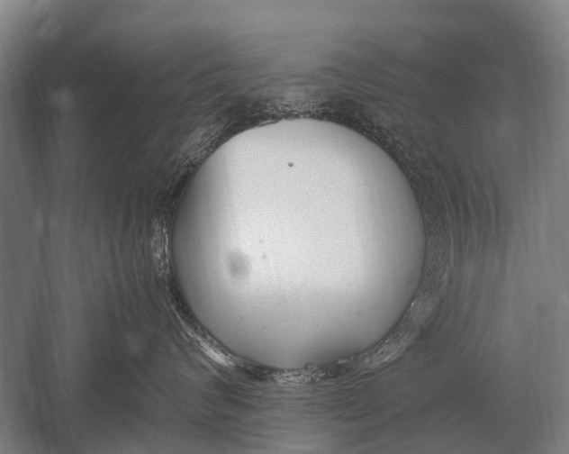 X0000051250624200507082152