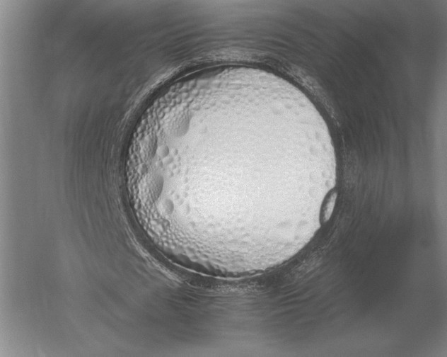 X0000051250625200507082151