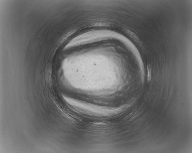 X0000051250627200507082151