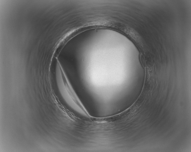 X0000051250628200507082151