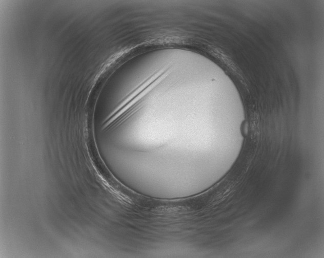 X0000051250629200507082151