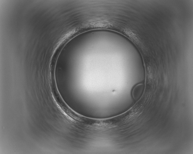 X0000051250630200507082151