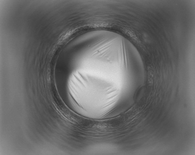 X0000051250631200507082151