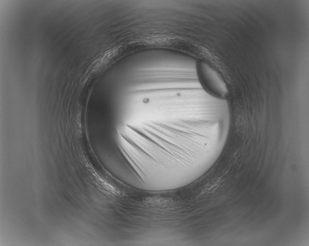 X0000051250633200507082151