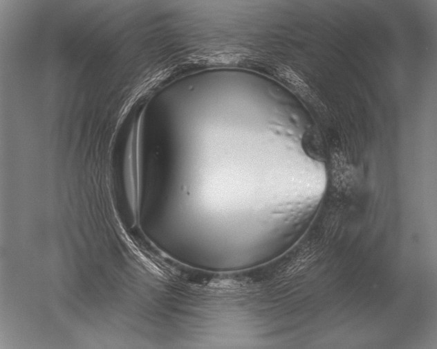 X0000051250634200507082151