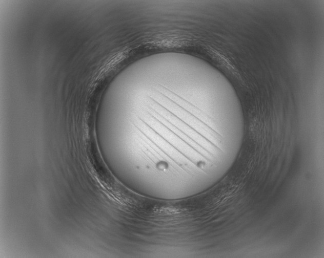 X0000051250635200507082151