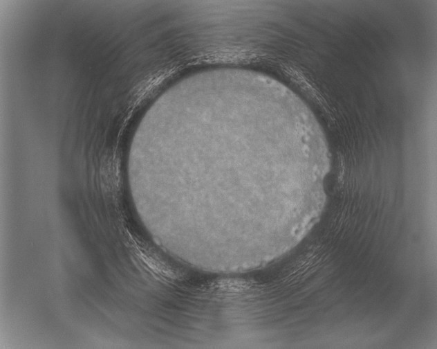 X0000051250636200507082151