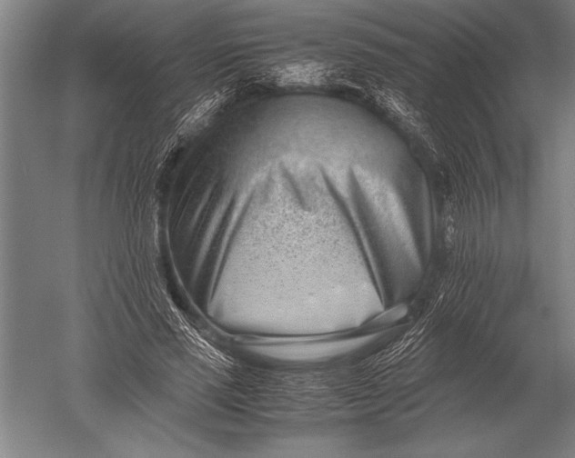 X0000051250637200507082151