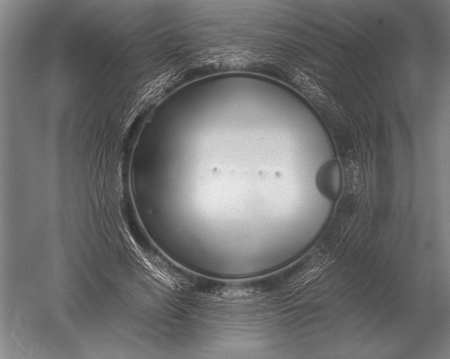 X0000051250638200507082151