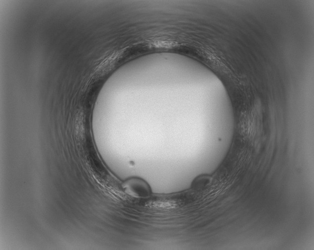 X0000051250639200507082151