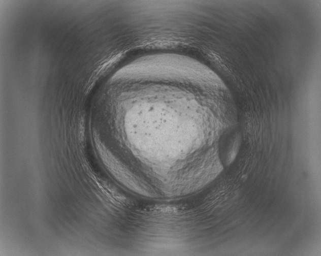 X0000051250640200507082151