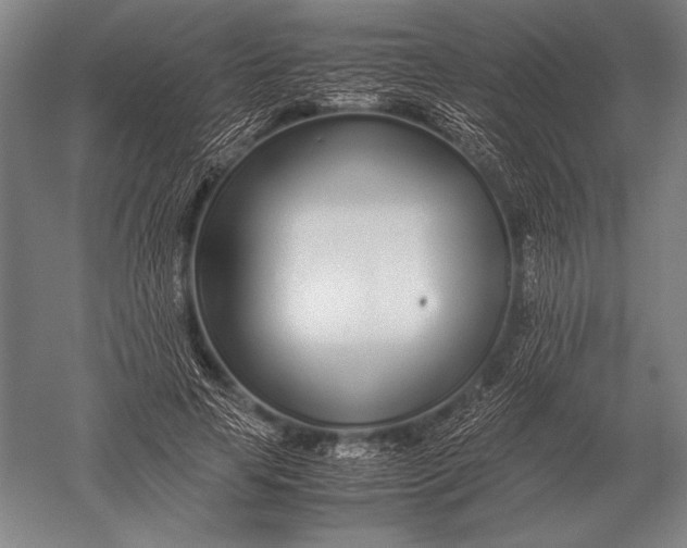 X0000051250641200507082151