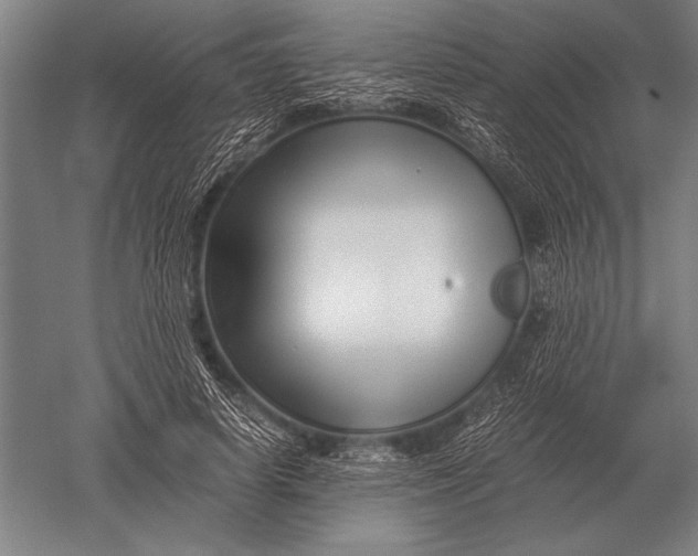 X0000051250642200507082151