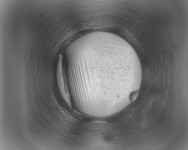 X0000051250644200507082151