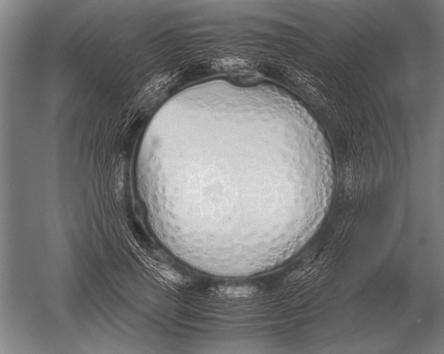 X0000051250645200507082151