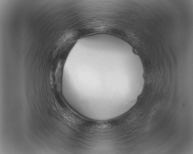 X0000051250646200507082151