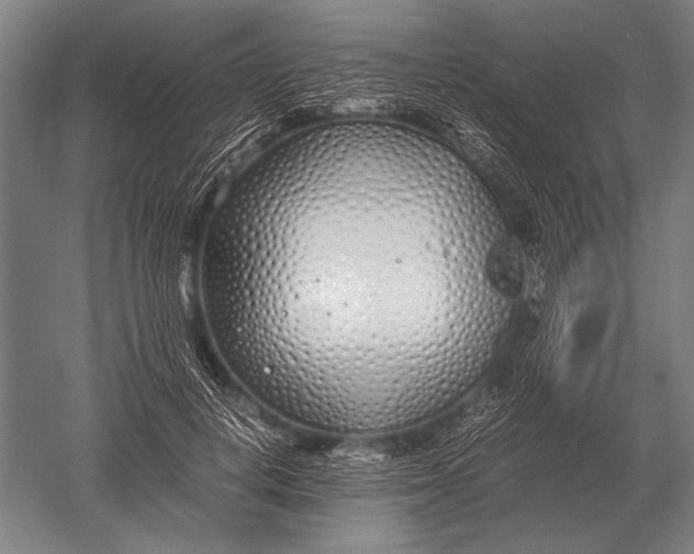 X0000051250648200507082151