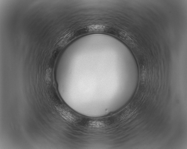 X0000051250649200507082151