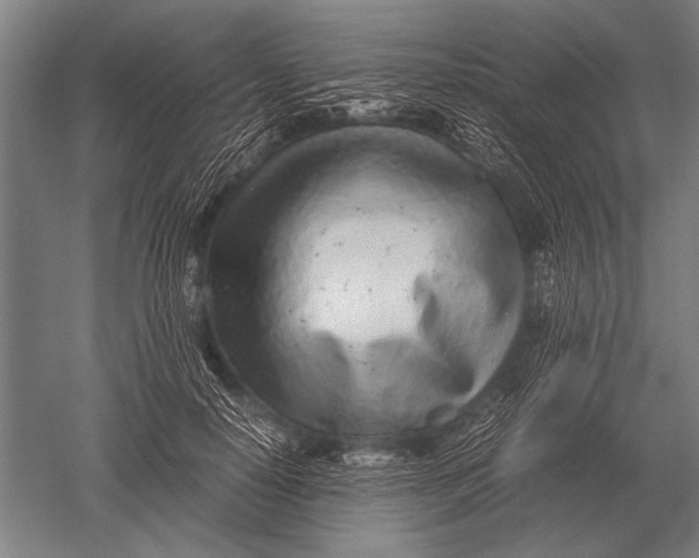 X0000051250650200507082151