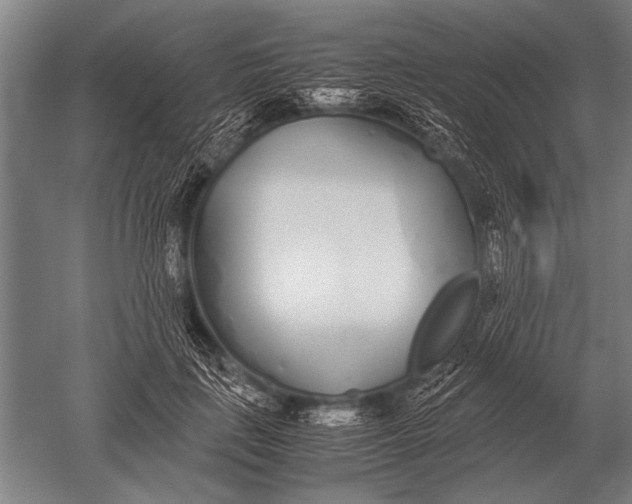 X0000051250651200507082151