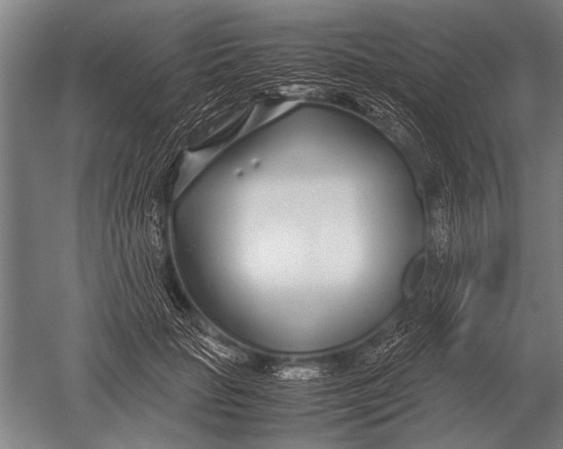 X0000051250653200507082151