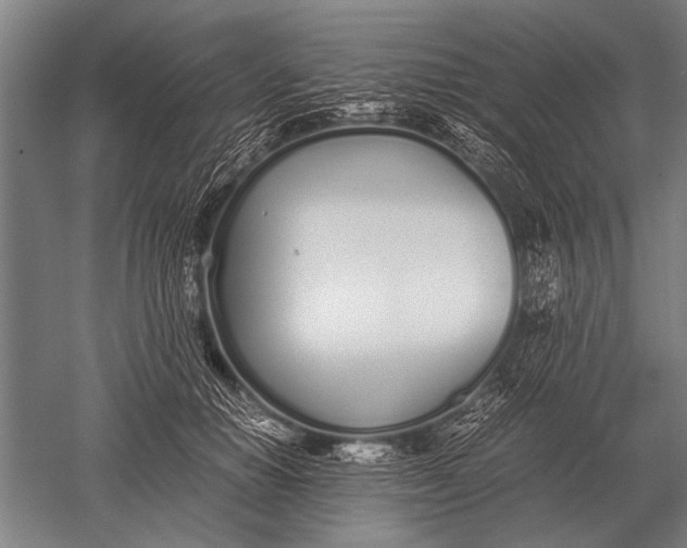 X0000051250654200507082151