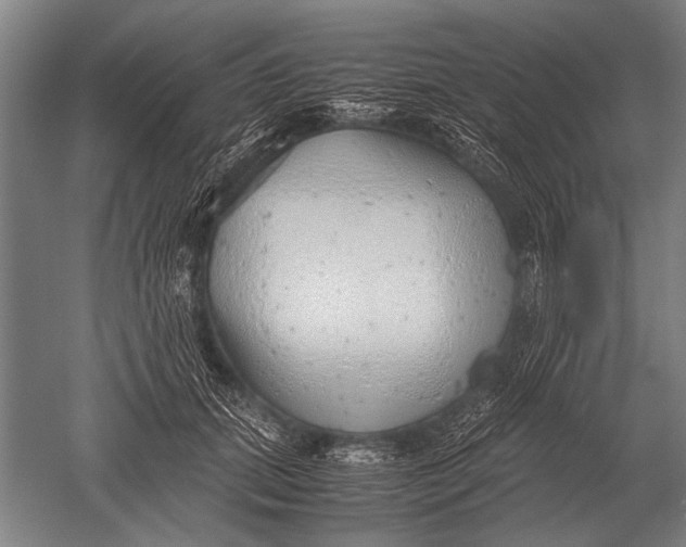 X0000051250655200507082151