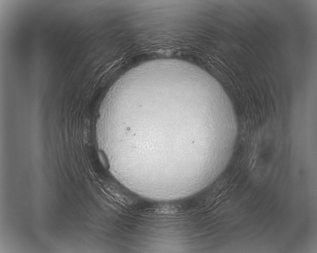 X0000051250656200507082151