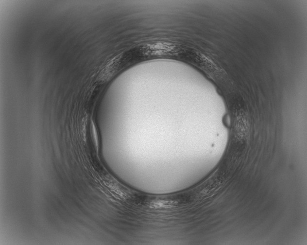 X0000051250657200507082151