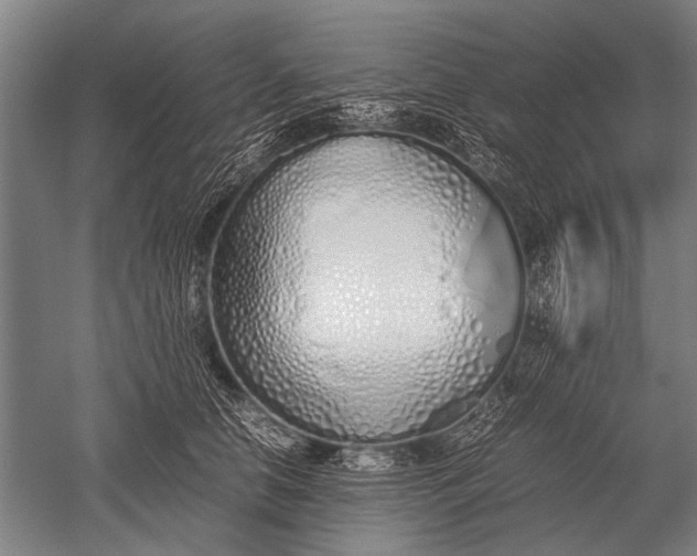 X0000051250658200507082151