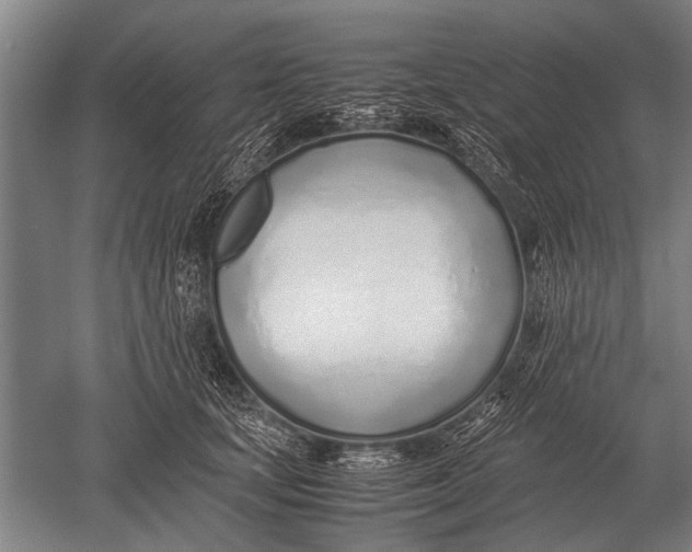 X0000051250659200507082151