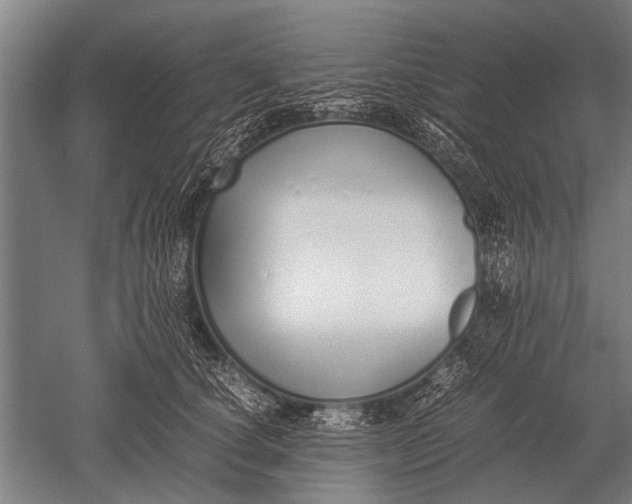 X0000051250660200507082151