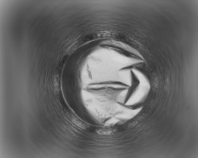 X0000051250661200507082151