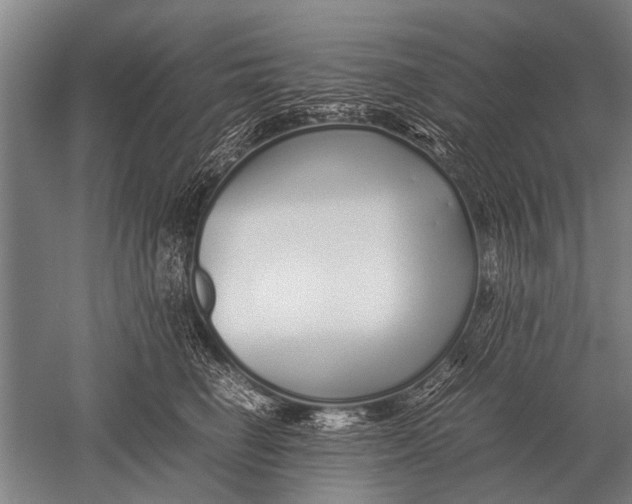 X0000051250662200507082151