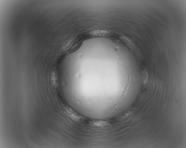 X0000051250669200507082152