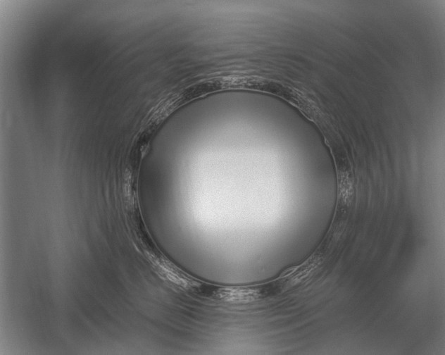 X0000051250670200507082152