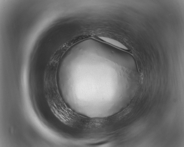 X0000051250671200507082152