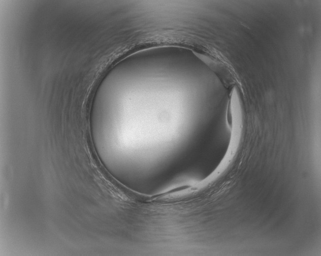 X0000051250673200507082151