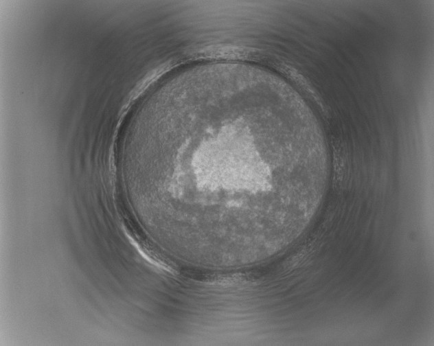 X0000051250674200507082151