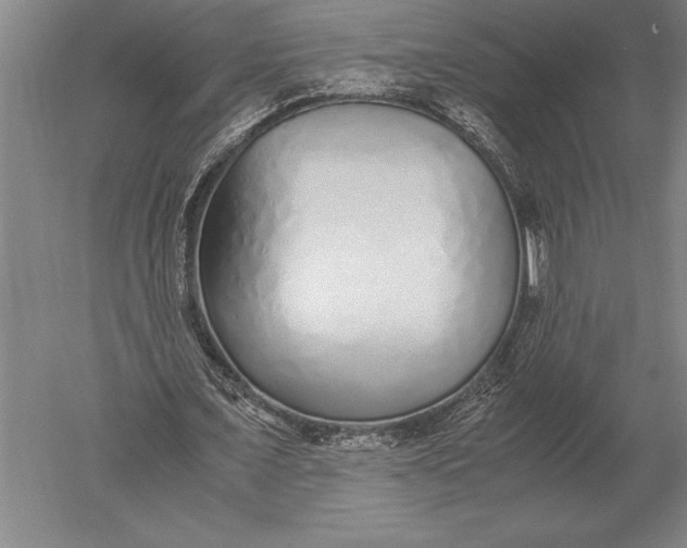 X0000051250675200507082151