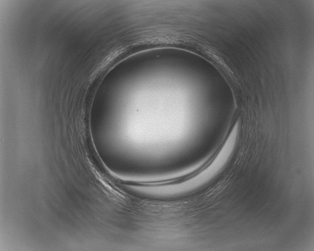 X0000051250677200507082151