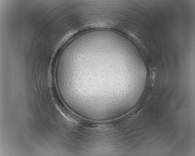 X0000051250678200507082151