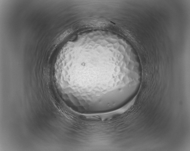 X0000051250679200507082151