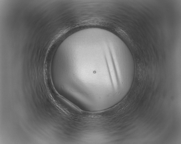 X0000051250680200507082151