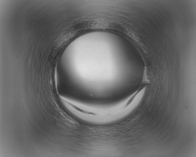 X0000051250681200507082151