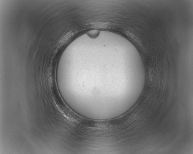 X0000051250682200507082151