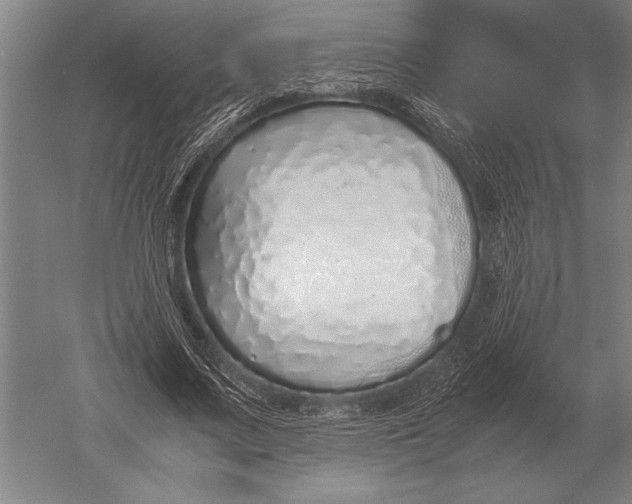 X0000051250683200507082151