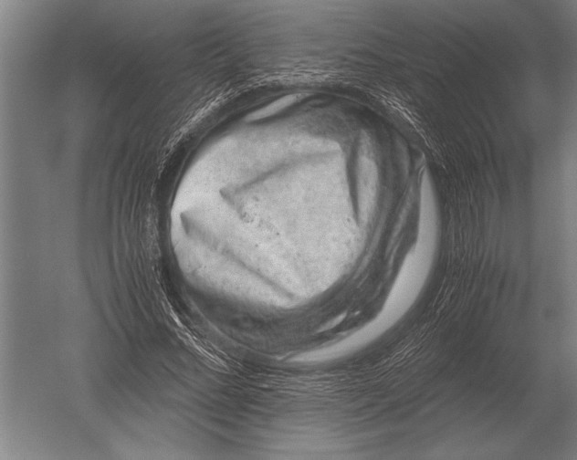 X0000051250684200507082151