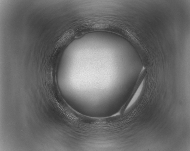 X0000051250685200507082151